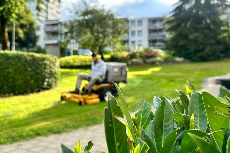 Gartenpflege