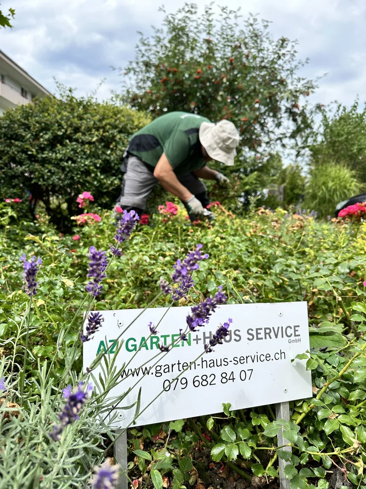 AZ Garten+Haus Service Team